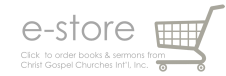 e-store icon